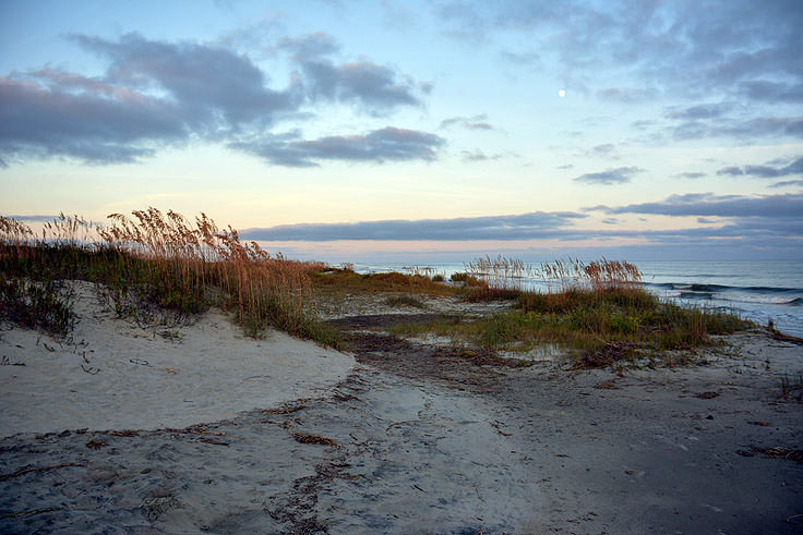 The beach at Sullivan's Island