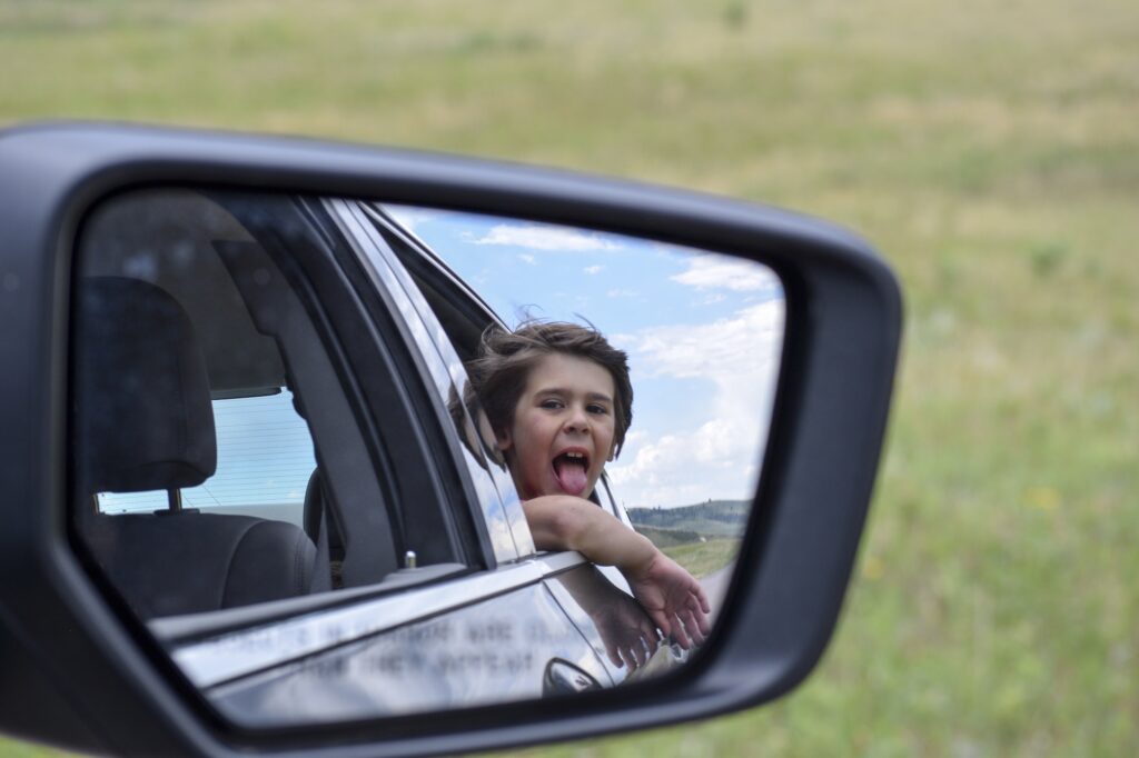 golf cart side view mirror 