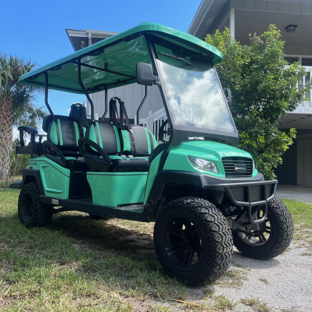 2022 bintelli golf cart lsv for sale